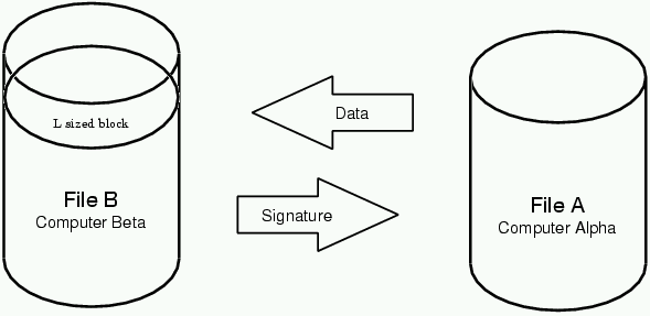  rsync